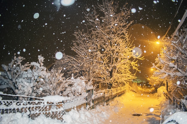 Estrada, em, inverno, noturna