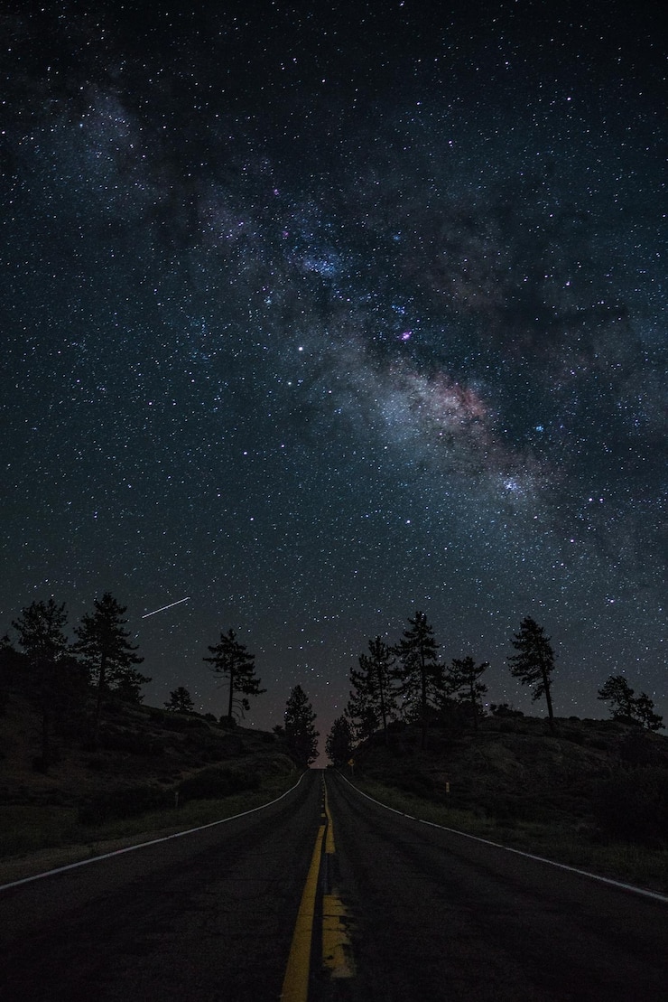 Foto estrada em meio a árvores contra o céu à noite