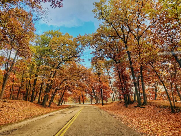 Foto estrada em meio a árvores contra o céu durante o outono