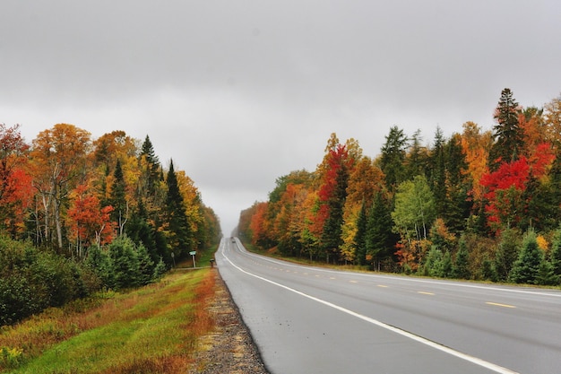 Estrada em meio a árvores contra o céu durante o outono