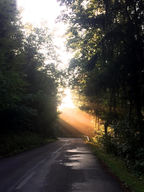 Foto estrada em meio a árvores contra o céu durante o pôr do sol