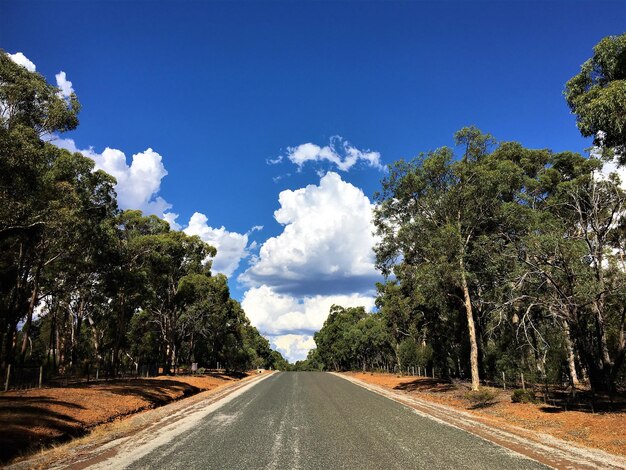 Foto estrada em meio a árvores contra o céu nublado