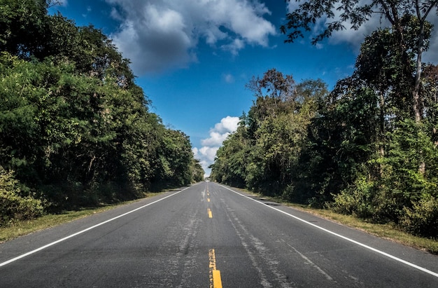 Foto estrada em meio a árvores contra o céu