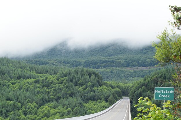 Foto estrada em meio a árvores e montanhas contra o céu