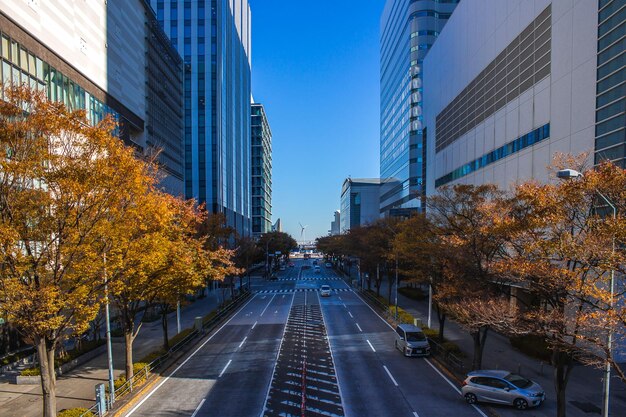 Foto estrada em meio a edifícios na cidade durante o outono