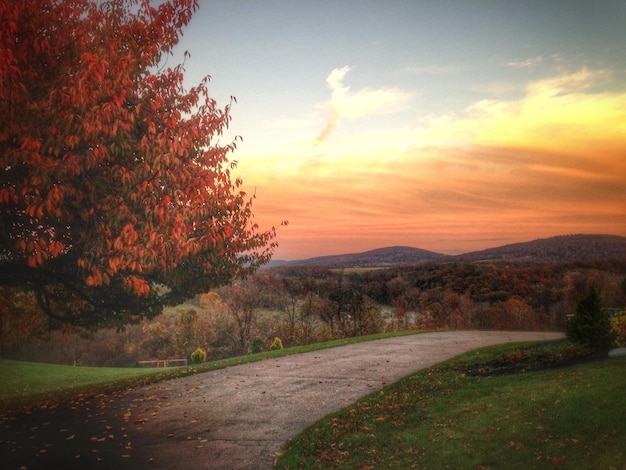 Foto estrada em meio à grama contra o céu ao pôr-do-sol