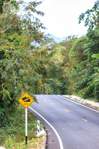 Estrada, em, um, floresta verde