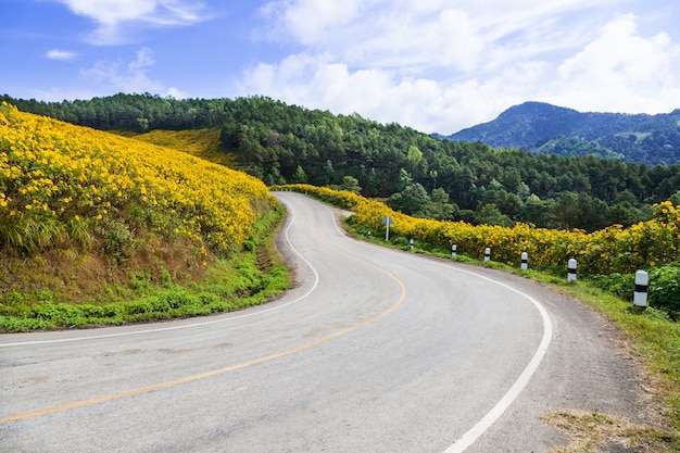 Estrada em uma montanha