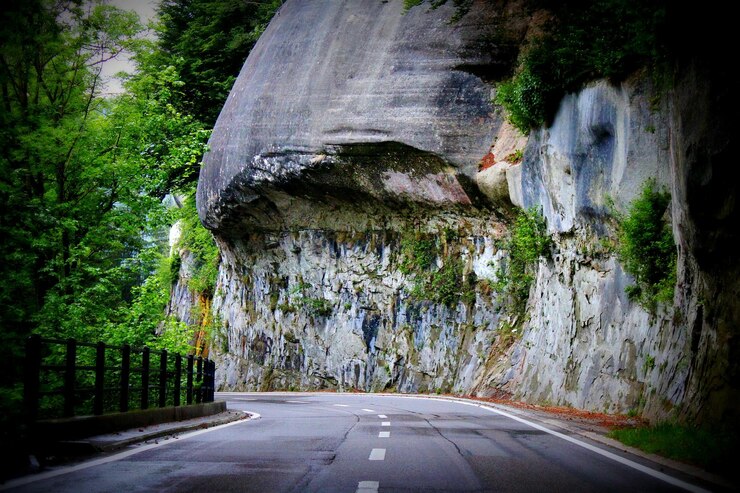 Foto estrada entre árvores