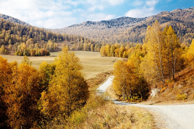 Estrada entre as montanhas de Altai. outono