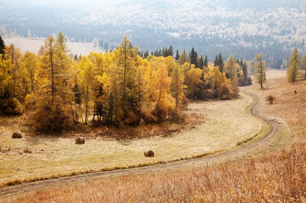 Estrada entre as montanhas de Altai. outono