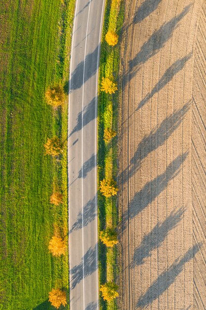 Estrada entre o campo verde e o solo cultivado com árvores amarelas ao pôr do sol no outono. Vista aérea na estrada de asfalto vazia ou beco de árvores.