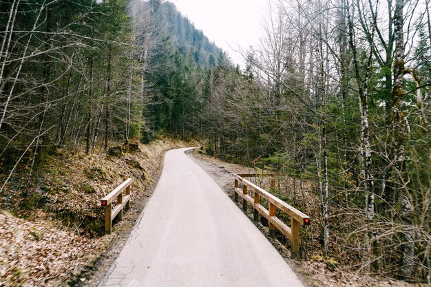 Estrada estreita nas montanhas e na floresta de coníferas com uma pequena ponte de madeira