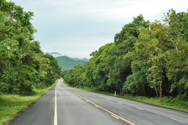 Estrada, indo, dentro, através, a, floresta