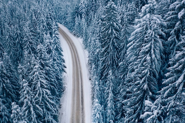 Estrada na floresta de montanha de inverno. Visão do zangão.