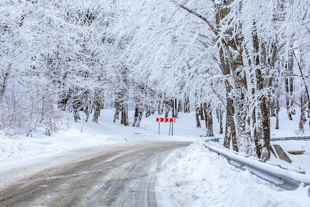 Estrada na floresta de Sabaduri com neve coberta. Inverno. Panorama