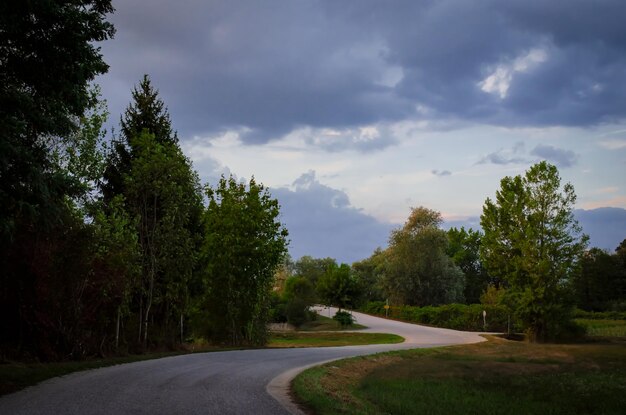 estrada na floresta