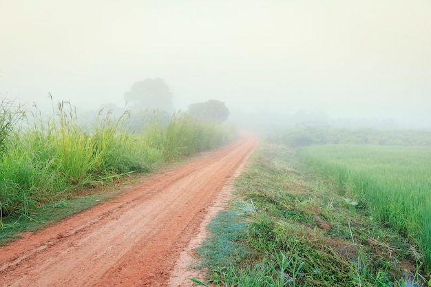 Estrada na névoa