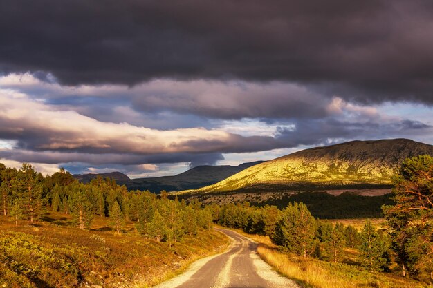 Estrada na Noruega