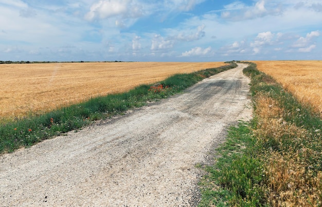 Estrada no campo de trigo em um fundo do céu na espanha