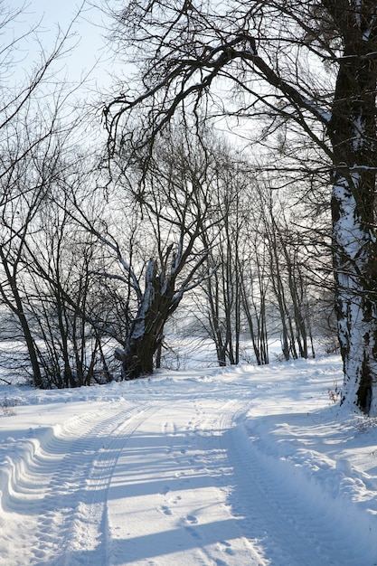 estrada no dia ensolarado de inverno