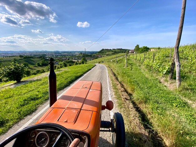 Foto estrada no meio de um campo agrícola contra o céu