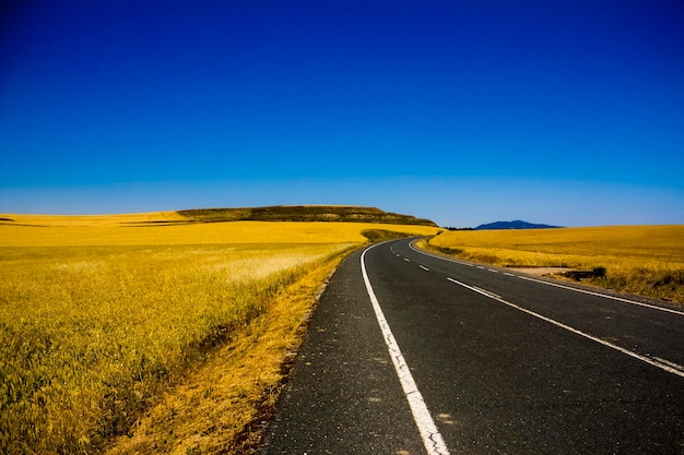 Estrada no meio de um campo contra um céu azul claro