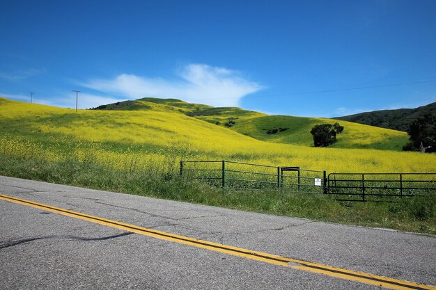 Foto estrada no meio do campo contra o céu azul