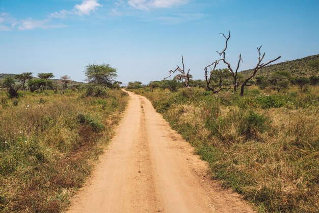 Foto estrada no meio do campo contra o céu