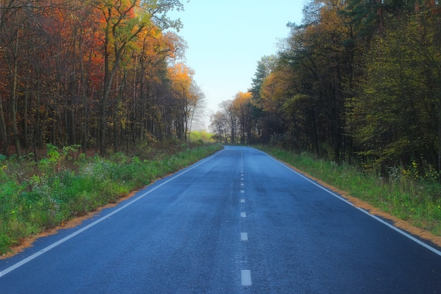 Estrada no outono