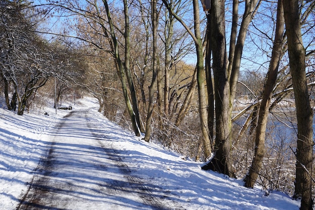 Estrada no parque no inverno