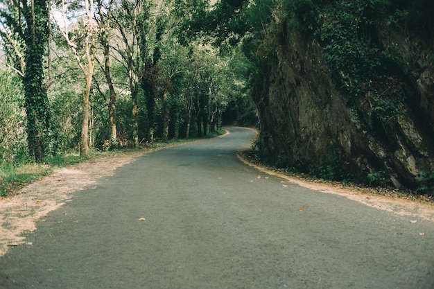 estrada para a montanha