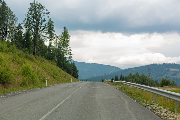 Estrada para carros na pitoresca floresta de pinheiros de alta densidade, entre as montanhas Karpaty.