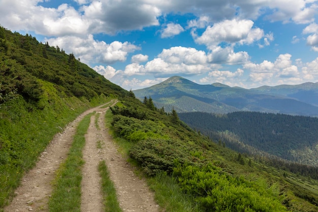 Estrada para o Monte Hoverla é coberta de grama verde e pedras em um dia ensolarado Caminhadas e turismo nos Cárpatos