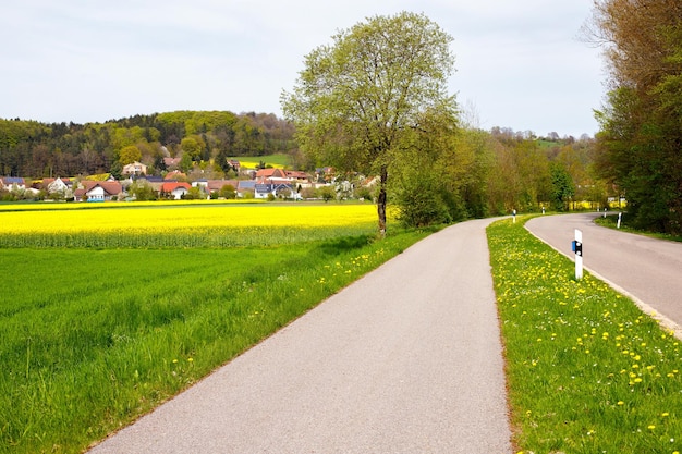Foto estrada pedonal de paisagem idílica ao longo de uma estrada através de campos na alemanha
