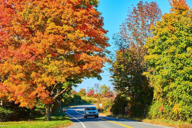 Estrada pela floresta de outono com carro e árvore de outono deslumbrante com folhas de laranja por caixa de correio