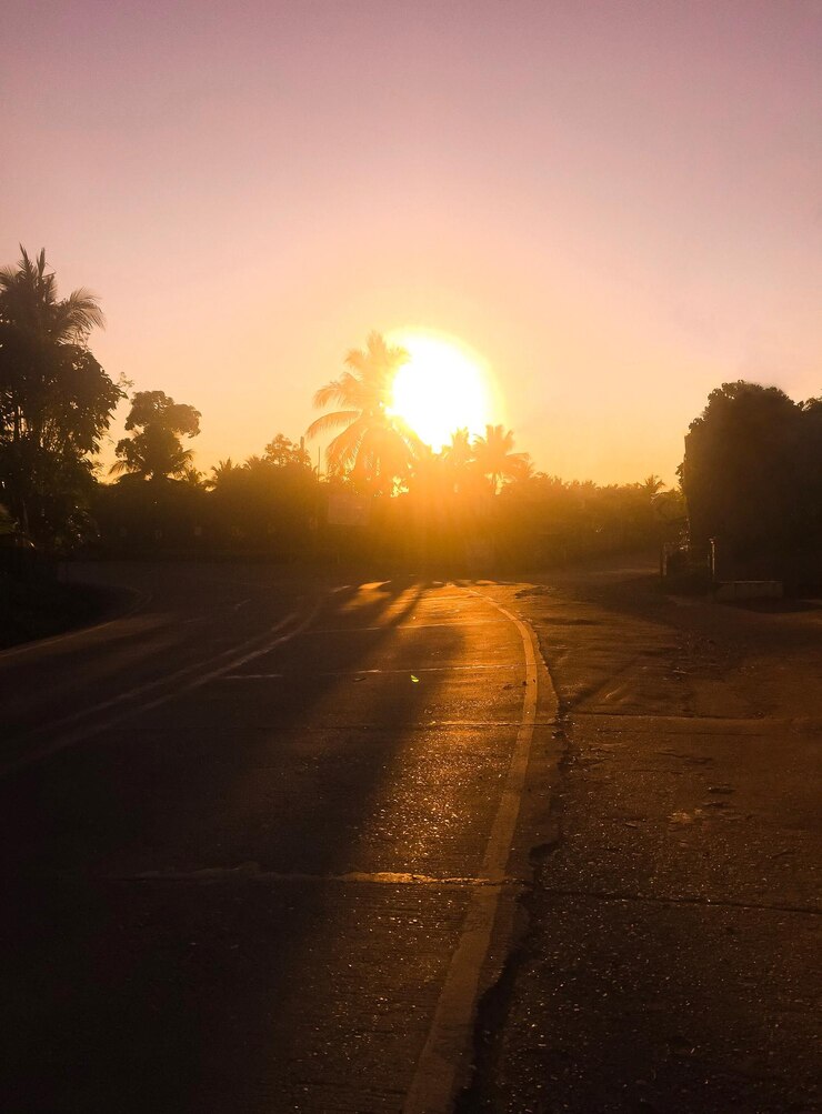Foto estrada por árvores contra o céu durante o pôr do sol