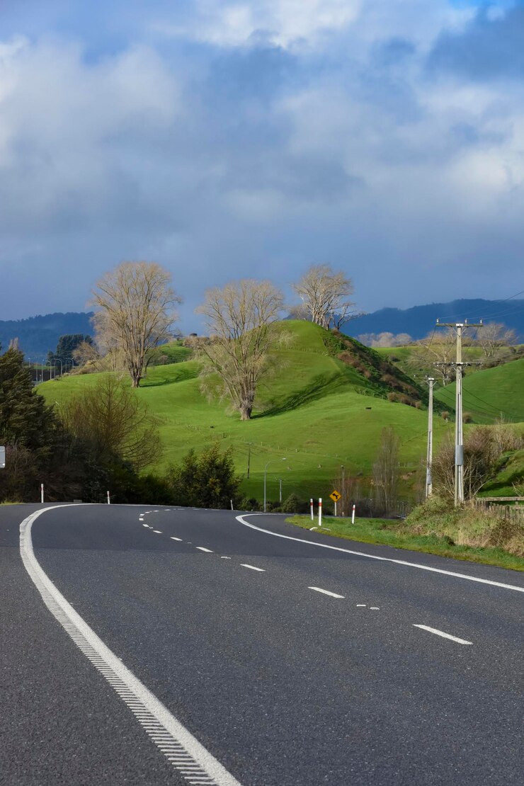 Foto estrada por árvores contra o céu na cidade
