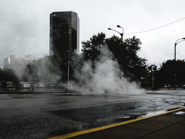 Foto estrada por árvores contra o céu na cidade