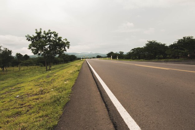 Foto estrada por árvores contra o céu