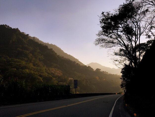 Estrada por árvores de silhueta contra o céu na cidade