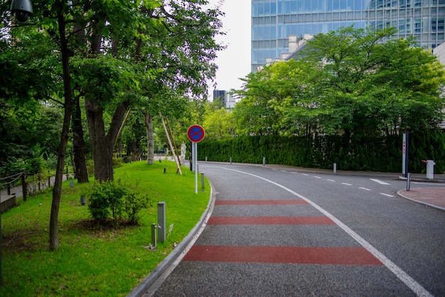 Foto estrada por árvores na cidade