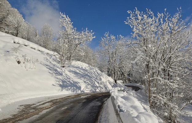 Estrada que cruza a floresta alpina coberta de neve em uma montanha europeia