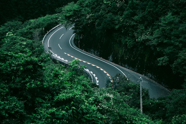 Estrada que passa pela floresta