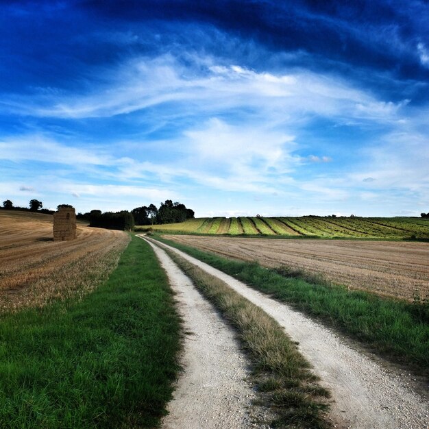 Foto estrada que passa pelo campo