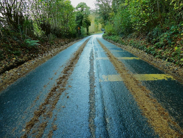 Foto estrada que passa por árvores