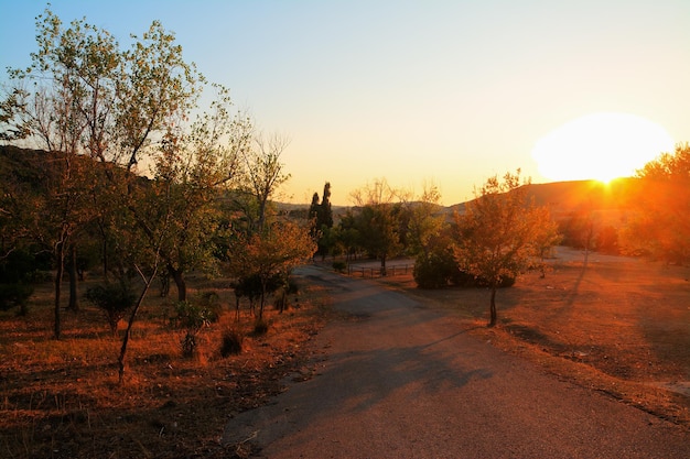 Estrada rural ao pôr do sol na Sardenha