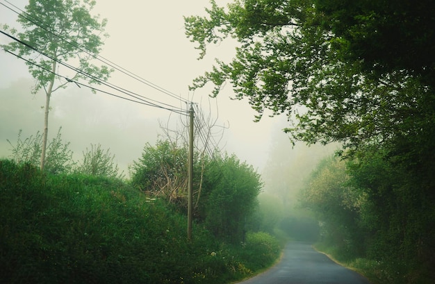 Estrada rural com neblina na primavera