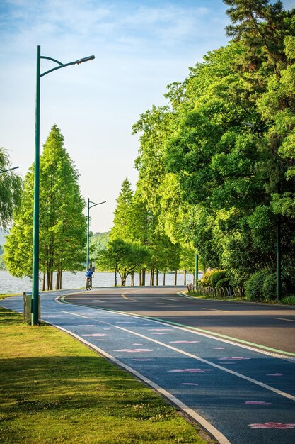 Foto estrada rural de verão com árvores ao lado do conceito