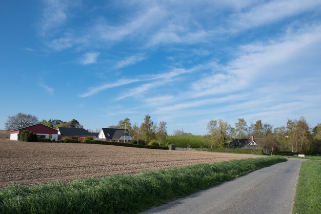 Estrada rural dinamarquesa